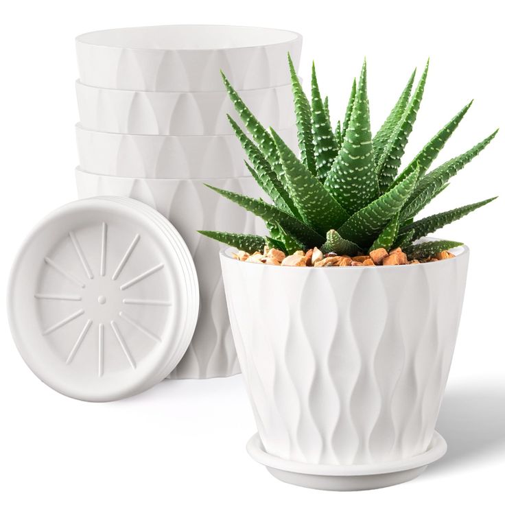 White flower pot