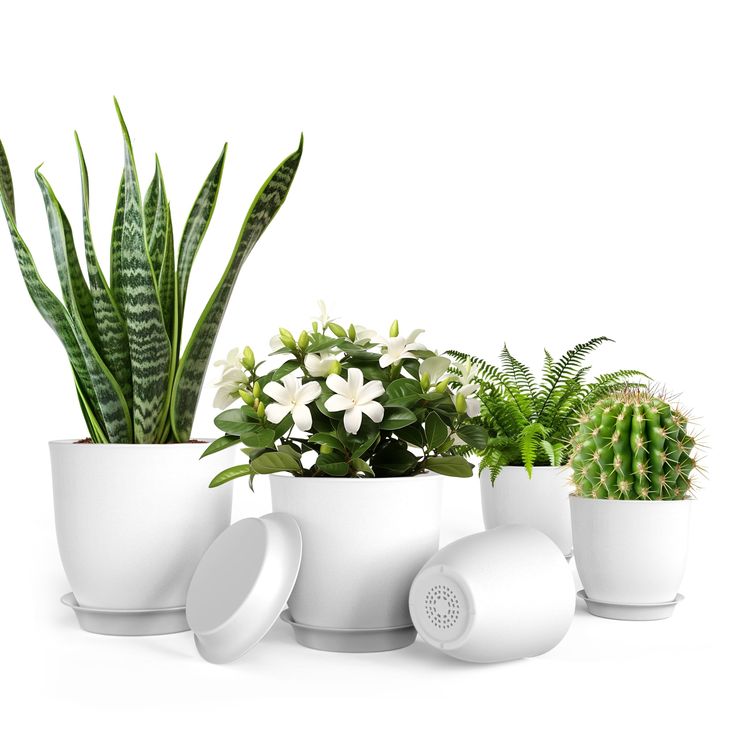 handmade ceramic planters