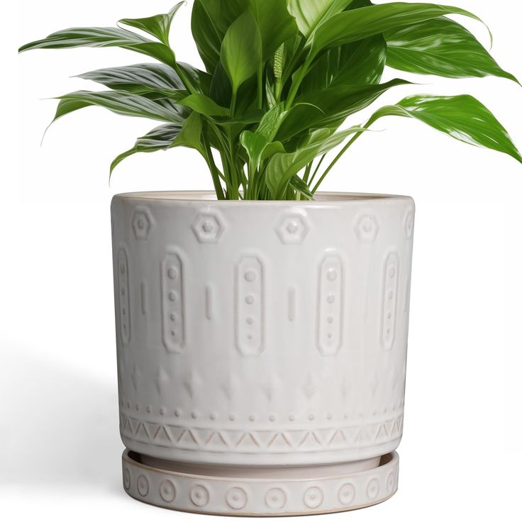 ceramic flower pot